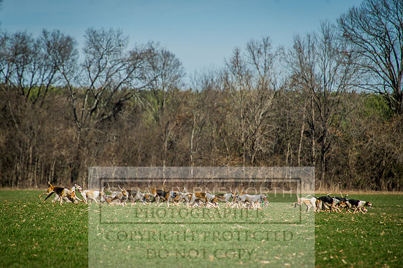 Mooreland Hunt-70