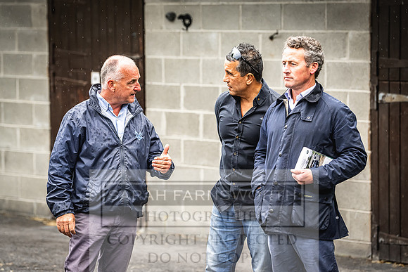 Goffs Land Rover Sale 2022-480