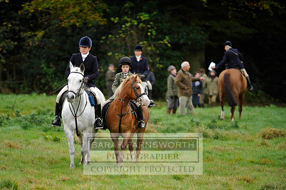 Brocklesby 021113 CF3 163