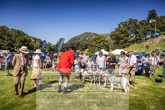 Rydal Hound Show 2022-43