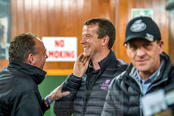 Goffs Orby 2018 Day 1-431