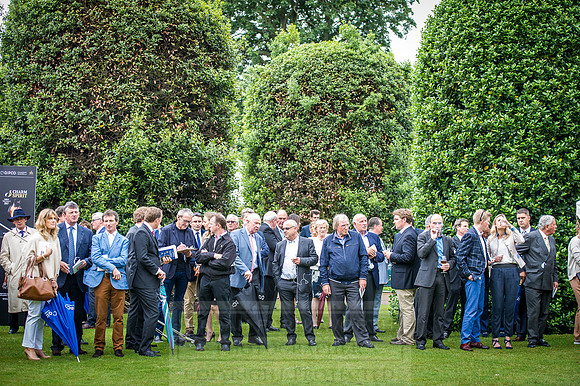 Goffs London Sale 2016-276