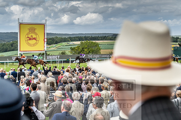 GUK Goodwood Sale 2019-61