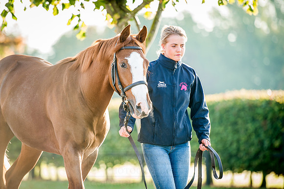 Goffs Orby 2015 -185