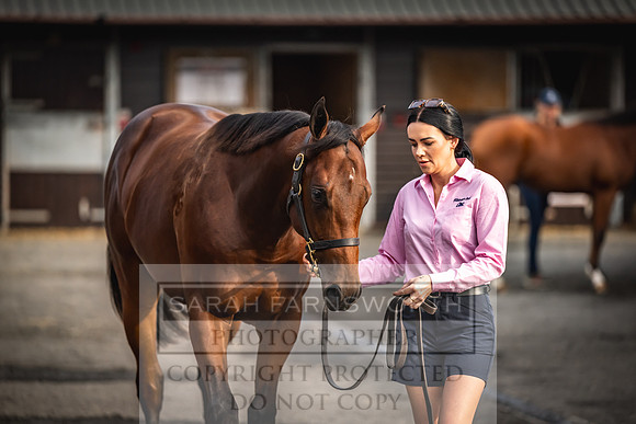 Goffs UK PY24-267