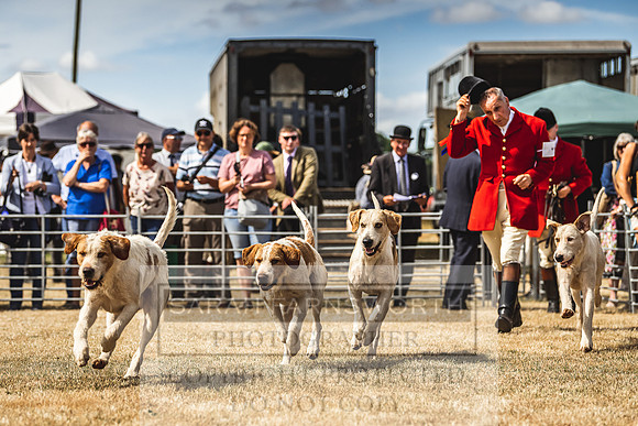 Honiton Hound Show 2022-105