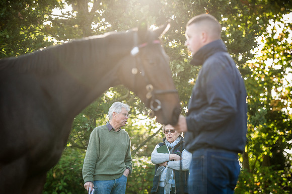 Goffs Orby 2015 -198