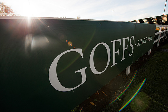 Goffs Orby14 CF8 206