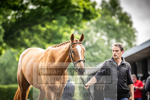 Goffs Land Rover Sale 2022-35