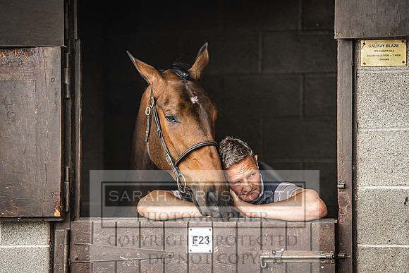 Goffs Land Rover Sale 2022-337