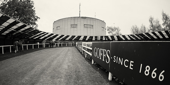 Goffs Orby14 CF6 092 bw