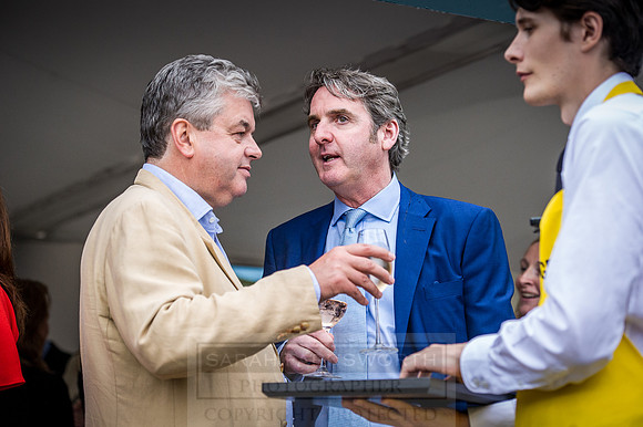Goffs London Sale 2016-439