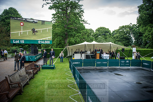 Goffs London Sale 2016-310