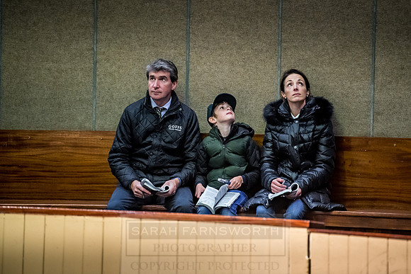 Goffs Orby 2018 Day 1-254