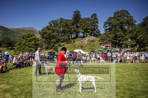 Rydal Hound Show 2022-106