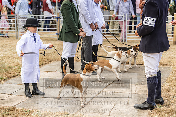 Honiton Hound Show 2022-52