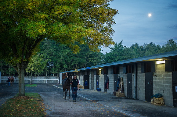 Goffs Orby 2015 -55