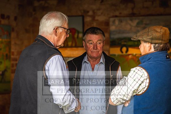 Goffs Yorton Sale 2022-166