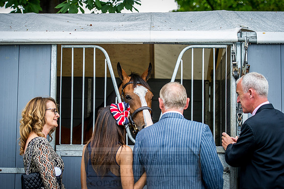 Goffs London Sale 2016-48