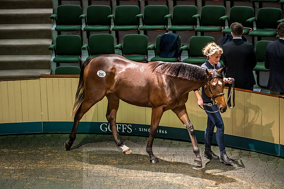 Goffs Orby 2018 Day 2-118