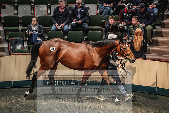 Goffs Land Rover Sale 2022-270
