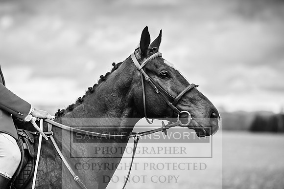 Thurlow at Heythrop 130319-391
