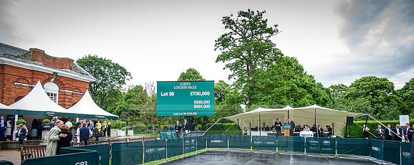 Goffs London Sale 2016-447