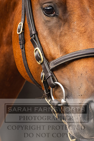 Goffs UK PY24-38