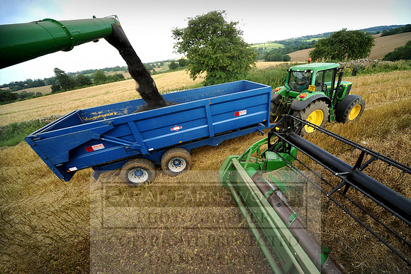 combining r-oil 029