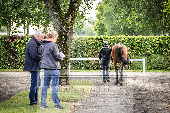 Goffs Land Rover Sale 2022-22