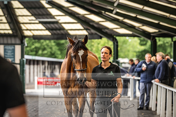 Goffs Land Rover Sale 2022-644