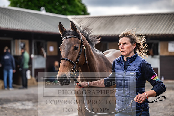 Goffs UK Spring Sale 2024-70
