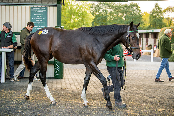 Goffs Orby 2018 Day 1-366