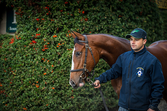 Goffs Orby 2015 -138