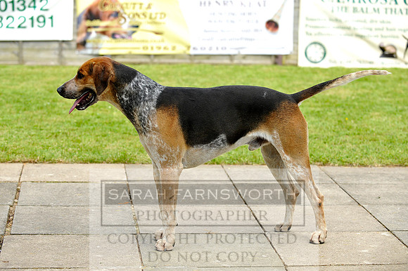 SoEHS14 CF2 556