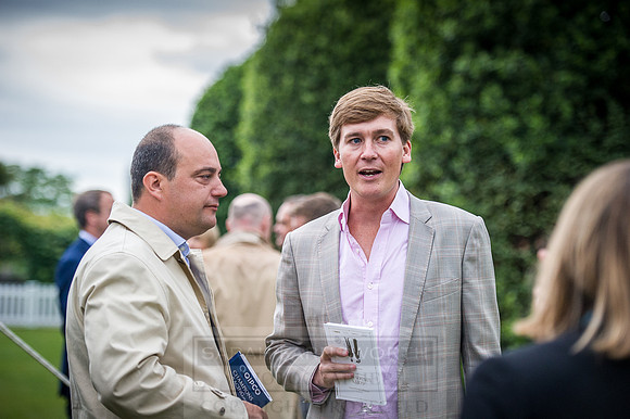 Goffs London Sale 2016-418