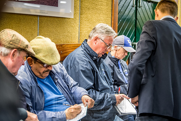 Goffs Orby 2018 Day 1-419