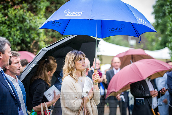 Goffs London Sale 2016-300