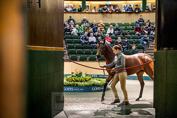Goffs Orby 2018 Day 1-187