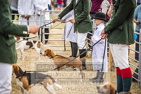 Honiton Hound Show 2022-48