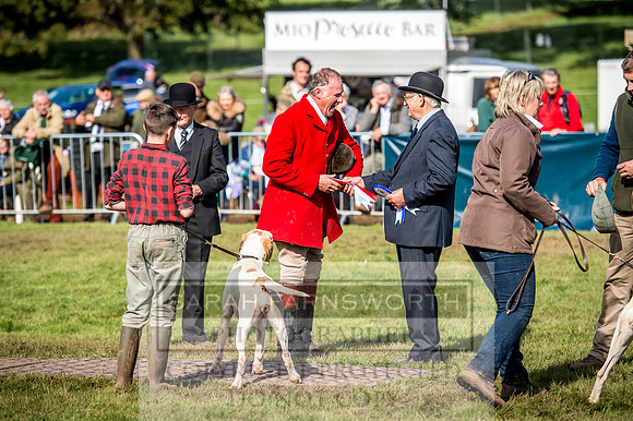 Lowther Hound Show 2017-132