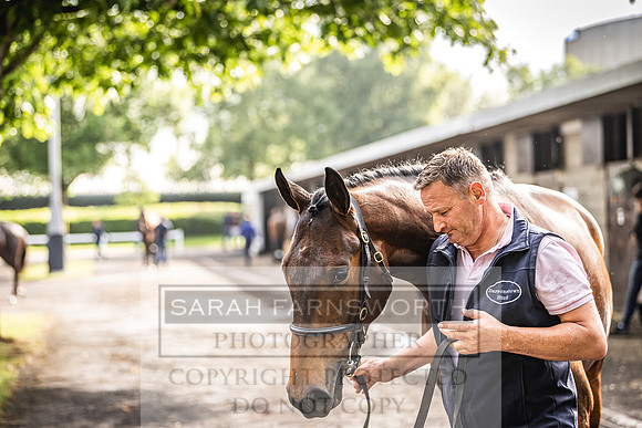 Goffs Land Rover Sale 2022-97