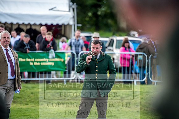 Lowther Hound Show 2017-70