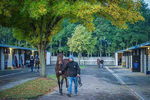 Goffs Orby 2015 -52