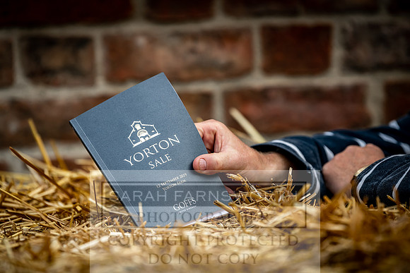 GUK Yorton Sale 2019-253
