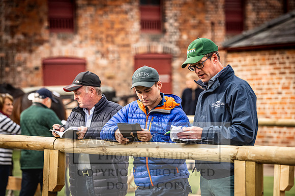 Goffs Yorton Sale 2022-24