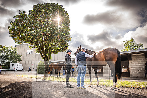 Goffs Land Rover Sale 2022-89