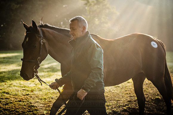 Goffs Orby 2015 -481