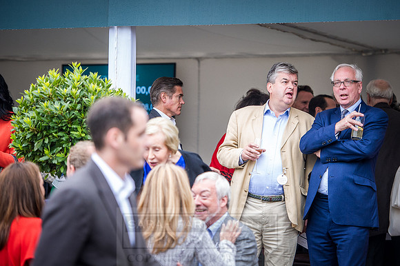 Goffs London Sale 2016-390