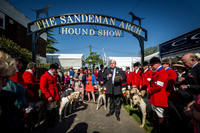 Ardingly Foxhounds 2015-5